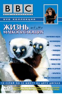 BBC: Жизнь млекопитающих (2002)